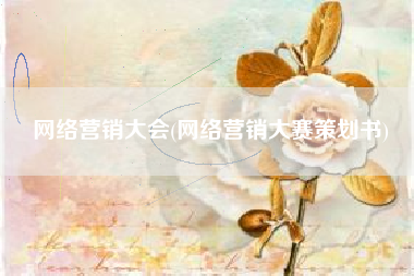 网络营销大会(网络营销大赛策划书)
