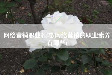 网络营销职业领域(网络营销的职业素养有哪些)