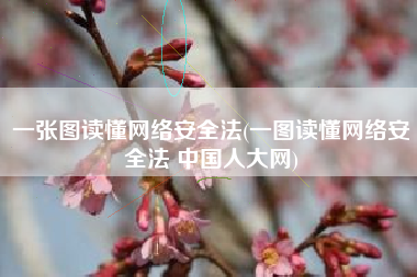 一张图读懂网络安全法(一图读懂网络安全法 中国人大网)