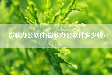 微软办公软件(微软办公软件多少钱)