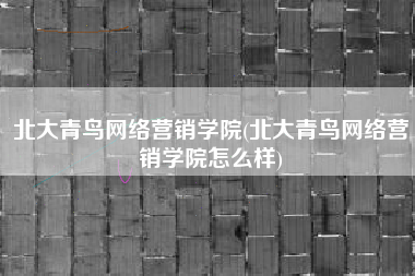 北大青鸟网络营销学院(北大青鸟网络营销学院怎么样)