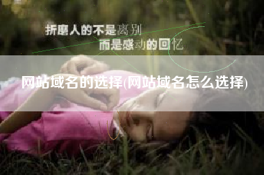 网站域名的选择(网站域名怎么选择)