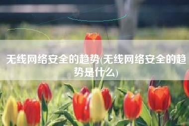 无线网络安全的趋势(无线网络安全的趋势是什么)