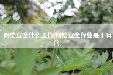 网络安全什么工作(网络安全行业是干嘛的)