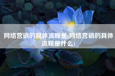 网络营销的具体流程是(网络营销的具体流程是什么)