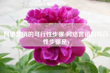 网络营销的可行性步骤(网络营销的可行性步骤是)