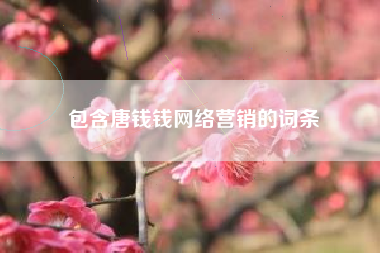 包含唐钱钱网络营销的词条