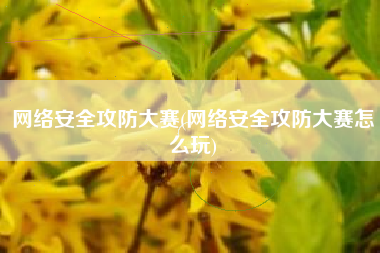 网络安全攻防大赛(网络安全攻防大赛怎么玩)