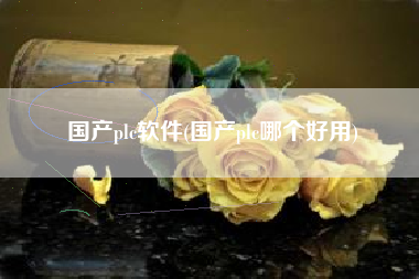 国产plc软件(国产plc哪个好用)