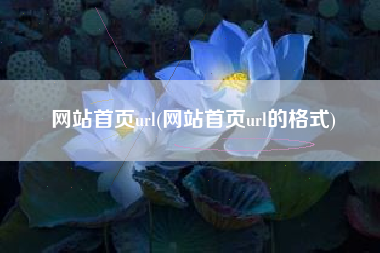 网站首页url(网站首页url的格式)
