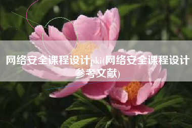 网络安全课程设计pki(网络安全课程设计参考文献)