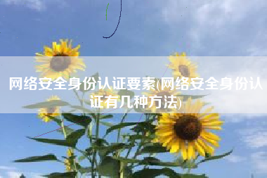 网络安全身份认证要素(网络安全身份认证有几种方法)