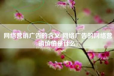 网络营销广告的含义(网络广告的网络营销价值是什么)