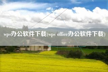wps办公软件下载(wps office办公软件下载)