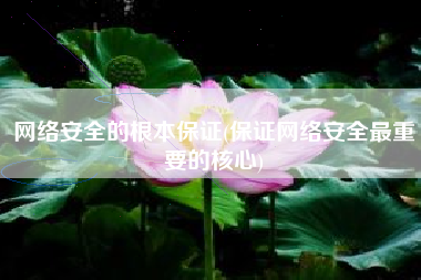 网络安全的根本保证(保证网络安全最重要的核心)