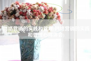 网络营销的实践和管理(网络营销的实践和管理心得体会)