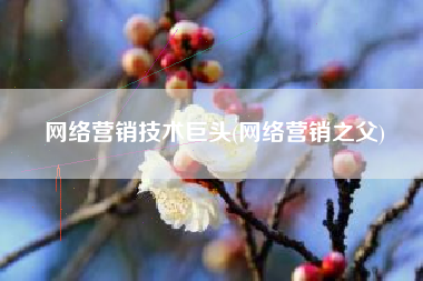 网络营销技术巨头(网络营销之父)