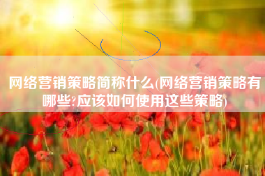 网络营销策略简称什么(网络营销策略有哪些?应该如何使用这些策略)