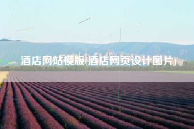 酒店网站模版(酒店网页设计图片)