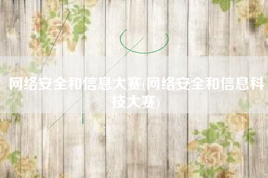 网络安全和信息大赛(网络安全和信息科技大赛)