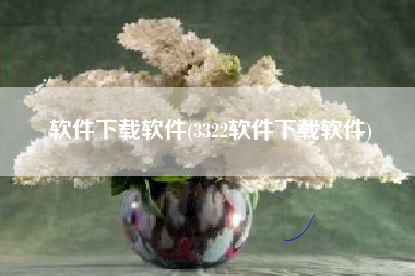 软件下载软件(3322软件下载软件)