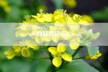 mvc网站路径(web mvc)