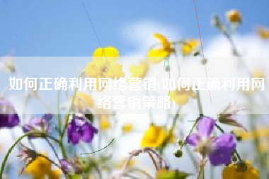 如何正确利用网络营销(如何正确利用网络营销策略)