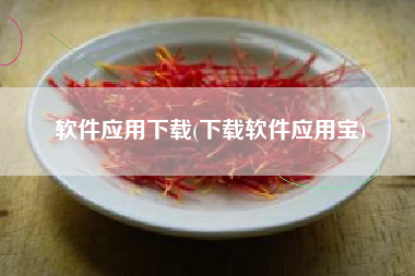 软件应用下载(下载软件应用宝)