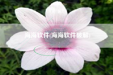 海海软件(海海软件破解)