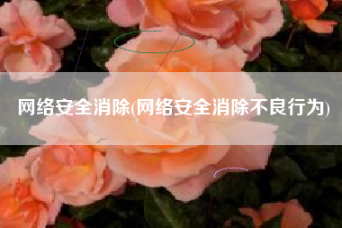网络安全消除(网络安全消除不良行为)