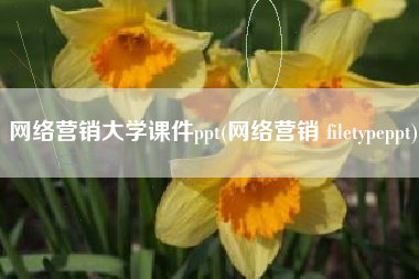 网络营销大学课件ppt(网络营销 filetypeppt)