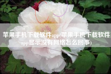 苹果手机下载软件app(苹果手机下载软件app显示没有网络怎么回事)