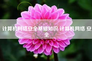 计算机网络安全基础知识 计算机网络 安全