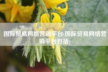 国际贸易网络营销平台(国际贸易网络营销平台包括)
