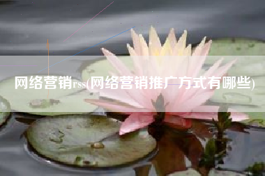 网络营销rss(网络营销推广方式有哪些)