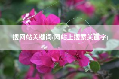 搜网站关键词(网站上搜索关键字)