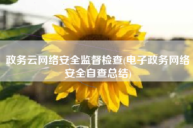 政务云网络安全监督检查(电子政务网络安全自查总结)