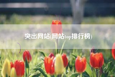 突出网站(网站top排行榜)