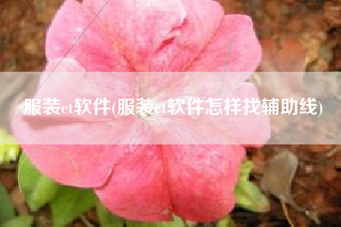 服装et软件(服装et软件怎样找辅助线)