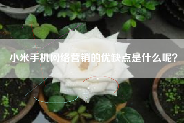 小米手机网络营销的优缺点是什么呢？