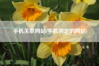 手机关联网站(手机绑定的网站)
