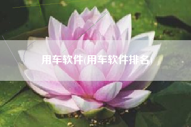 用车软件(用车软件排名)