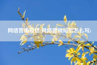 网络营销短信(网络营销短信怎么写)