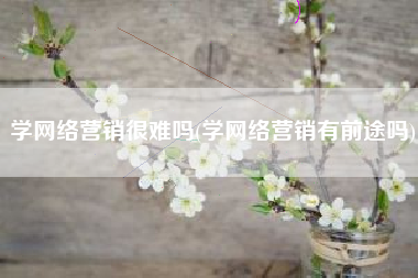 学网络营销很难吗(学网络营销有前途吗)