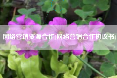 网络营销资源合作(网络营销合作协议书)