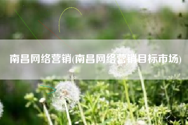 南昌网络营销(南昌网络营销目标市场)