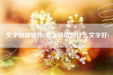 文字锁屏软件(文字锁屏用什么文字好)
