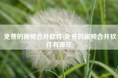 免费的视频合并软件(免费的视频合并软件有哪些)