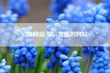 h5做网站(做h5页面的网站)