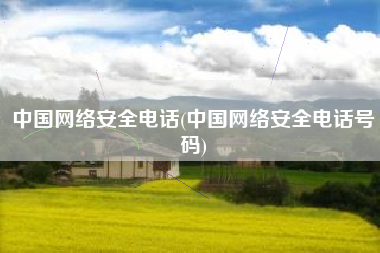 中国网络安全电话(中国网络安全电话号码)